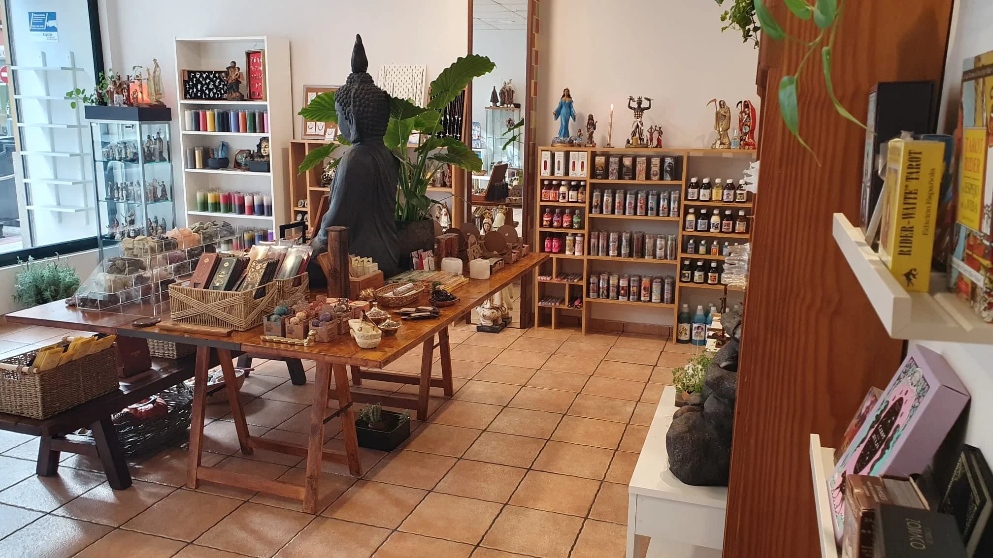 Vista trasera de la tienda Estrella Mística